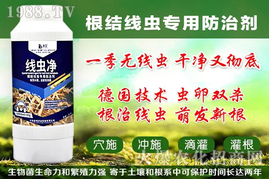 �������״���ʲô���ã��������״���������x����