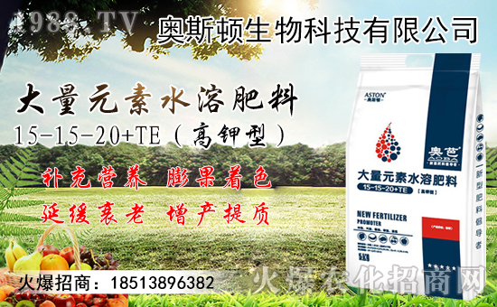 �����޽ӷ�������Щ�������޽ӳɻ�����������