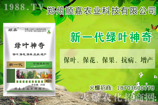 С���r(ji��)���B�B�ϝq���F(xi��n)��һ������X��