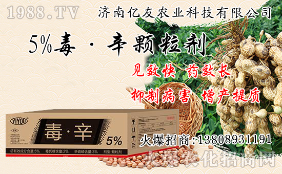 �������Ժʹ�����ʲô��ͬ���������԰˴��P(gu��n)�IҪ�c(di��n)��