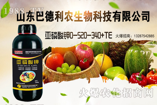 С���r���ܝq�������Xһ�������ֵ؅^(q��)�r��������