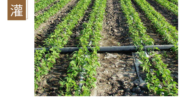 �}�V�\���F-Ӣ����_11