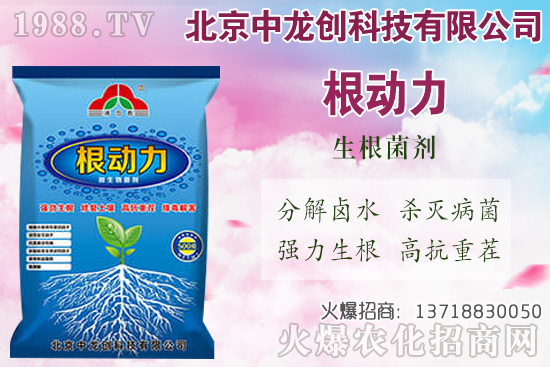 ���}���������������Щ�����}��ʩ�ʼ��g(sh��)Ҫ�c(di��n)��