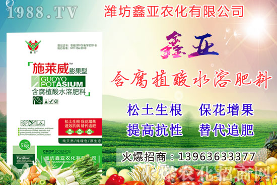 �Zʳ�q�r(ji��)��20209��17��С���r(ji��)��������Σ�