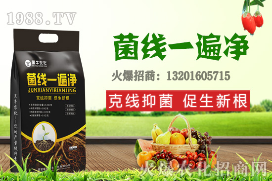 9��19��С���r��������q�����F(xi��n)��