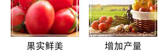 ���S�������ߌ�(zhu��n)�ã�-�и���ʢ_06