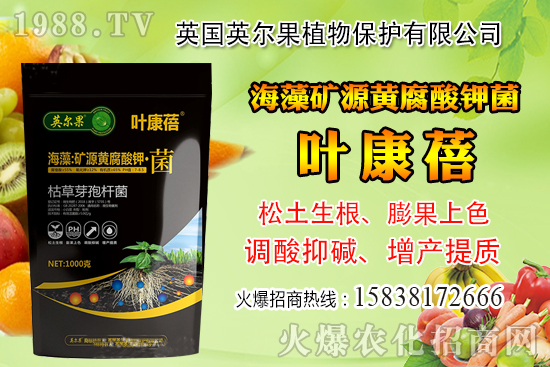 ��ô�Д����׺�ˮ��������������ˮ���й��ж���(j��ng)�(y��n)��