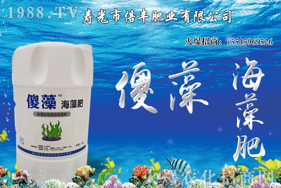 �Ј��𲽻ؚw���������棬�󶹃r��_�߻�����