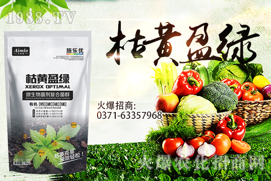 ʮ�¼������������r(ji��)�ܝq������9��29��С���r(ji��)���߄�(sh��)��