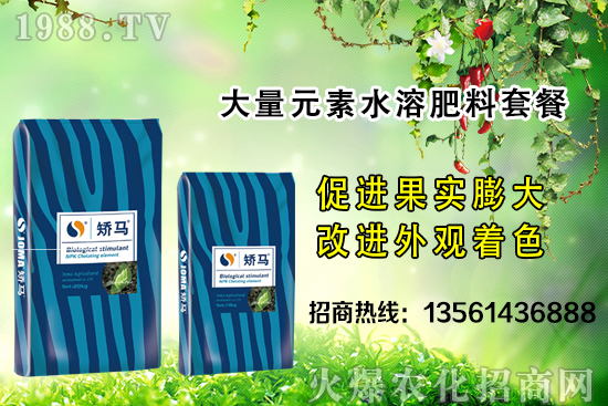 �＾����ʩ�ʵĺ�̎����Щ���＾����ʩ��ָ��(d��o)������