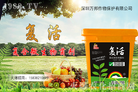 ���������ԷN������M(j��n)�й�������ʲô����Ҫ�c(di��n)��