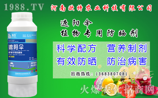 �R������Ժ���Щ�����׷N���R����׷Nģʽ��ʲô��̎��