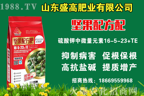 С���r(ji��)��߀Ҫ�ϝq����9��9�Շ�(gu��)��(n��i)С���r(ji��)�����飡