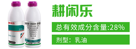 28%丙噁酮·西草凈·異噁草松-耕閑樂(lè)-昌農(nóng)化工_02