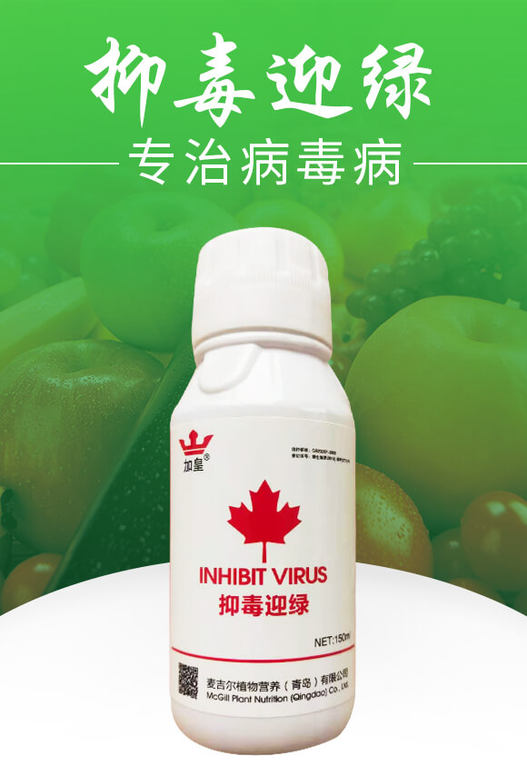 抑毒迎綠（專治病毒?。?綠肥_01