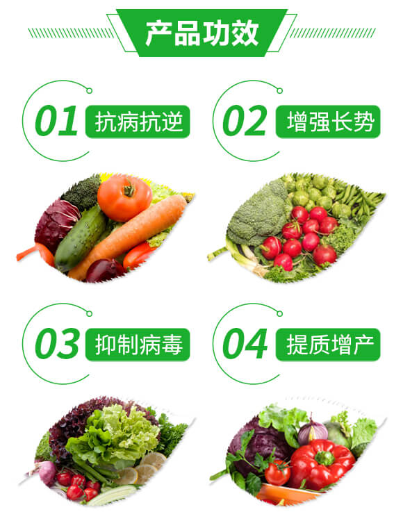 抑毒迎綠（專治病毒?。?綠肥_03