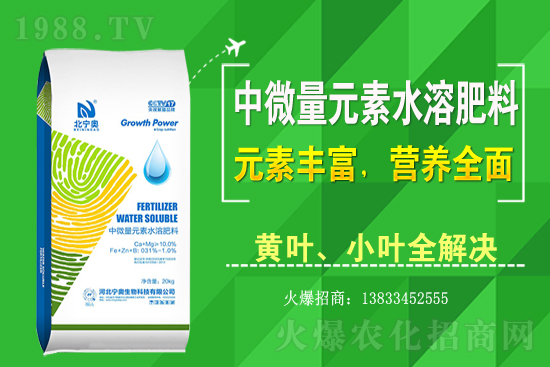 �S����ԓ��ô�Nֲ���S���˷Nֲ�^����ע����Щ���}��