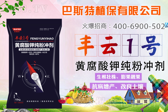 ������Y(ji��)/�}�n��/�ữ�y��Q�������S����⛼��ۄ���