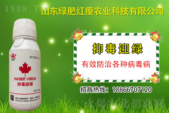 ���β�������Ҳ���ðΣ����ֶ�ӭ�G�����β�������