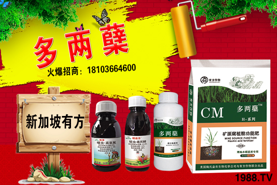 2021�����ַNֲǰ������������ֺ���ͨ�����к΅^(q��)�e��