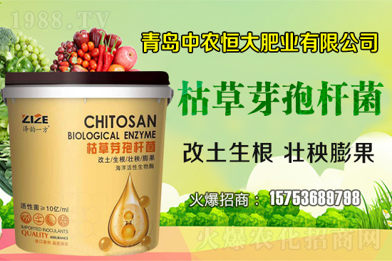 �ݲ�ѿ�ߗU������ǡ����С������ݲ�ѿ�ߗU�����w�������˽�᣿