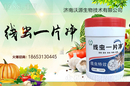 ���Y(ji��)���x�y���Σ����ξ��x�����xһƬ����