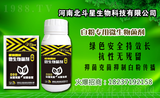 ����暢�����r������1��9��