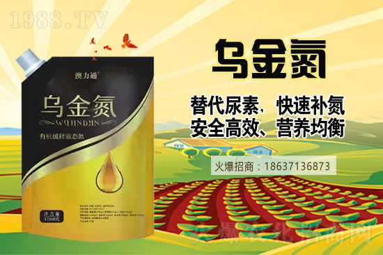 �����ٝq200Ԫ/����10��12�����؃r(ji��)��