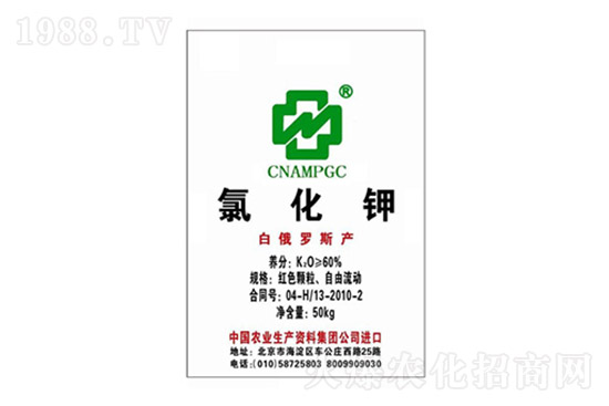 ⛷ʃr(ji��)�����ٝq����10��15�ո���⛷ʃr(ji��)��