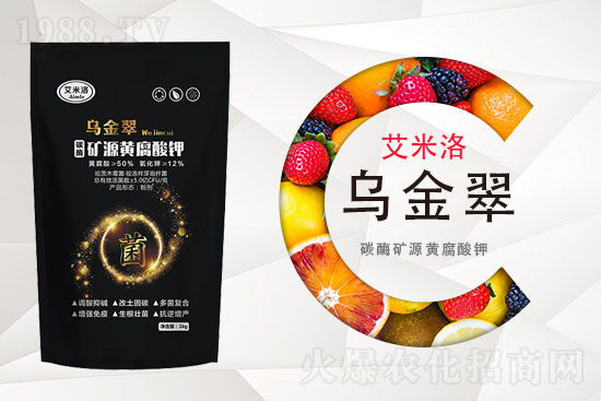 ���؃r�������10��16�ո������؃r������