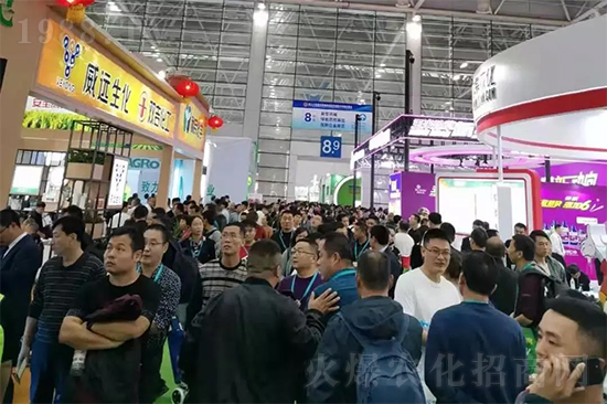 ȫ��ֲ����