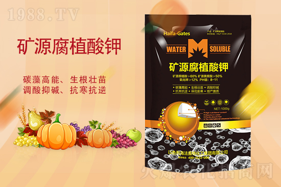 2021��10��23�����@�r�������߄�