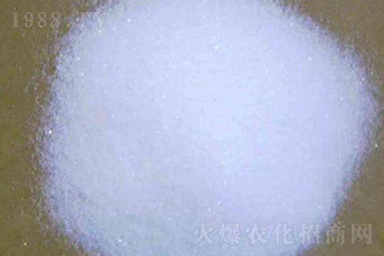 ⛷ʴ�q��⛷ʃr(ji��)�������Ո�(b��o)��10��28�գ�