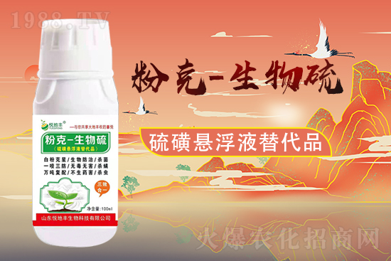 ɽ�|�����S�m(x��)�s1988.TV�����\�����°l(f��)չ