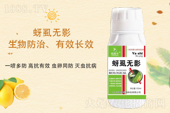 ɽ�|�����S�m(x��)�s1988.TV�����\�����°l(f��)չ