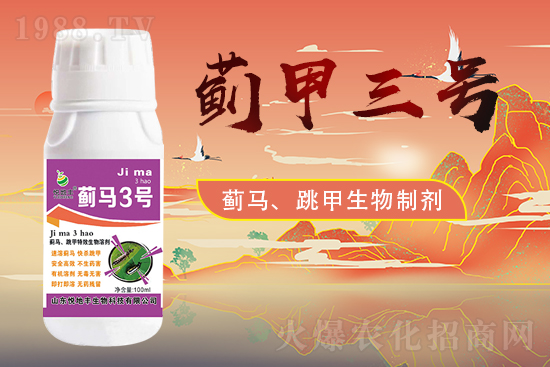 ɽ�|�����S�m(x��)�s1988.TV�����\�����°l(f��)չ