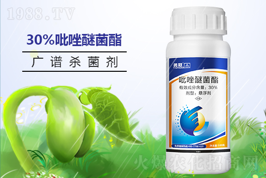 �¹چ̵��ٺ�1988.TV���T�����x����