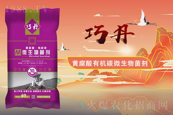 �����Pϵ�����A��ɽ�|�f��ȵ��m(x��)�s1988.TV��