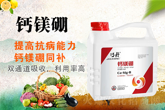 �����Pϵ�����A��ɽ�|�f��ȵ��m(x��)�s1988.TV��