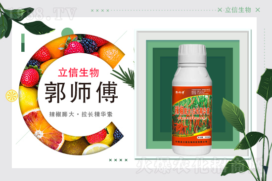 ���������m(x��)�s1988.TV���y�ֹ���(chu��ng)���x�ͣ�