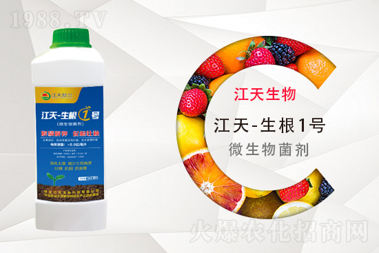 ⛷ʶ����Xһ����11��11�ո���⛷ʃr������