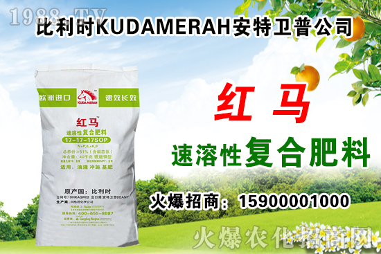 ��(f��)�Ϸʳ��S��r��11��12�Տ�(f��)�Ϸʃr������