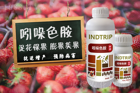 ���r(n��ng)���W(w��ng)ϲӭ���������������𱬁�(l��i)�u��