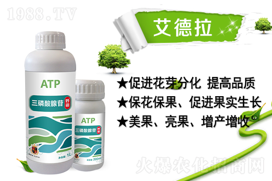 ���r(n��ng)���W(w��ng)ϲӭ���������������𱬁�(l��i)�u��