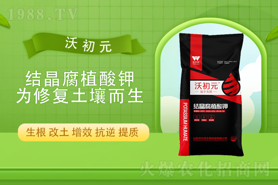 2021��11��6��⛷ʃr(ji��)�������߄�