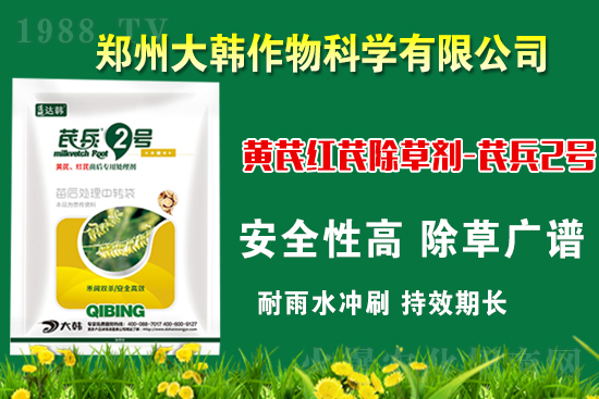 �α�2̖(h��o)¡������������������ɳ��{�˵��S�γ��݄������ݸ��V����ȫ�棡