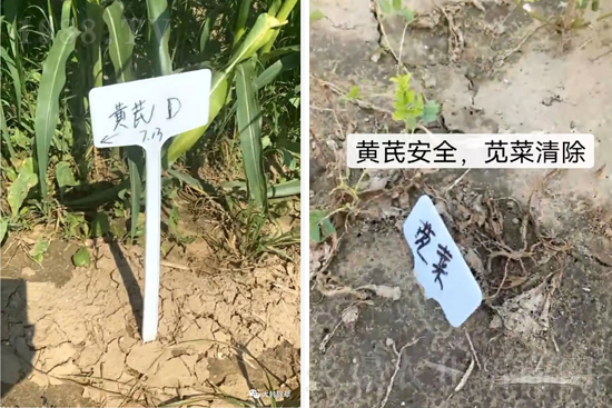 �α�2̖(h��o)¡�����У�����������ɳ��{�˵��S�γ��݄������ݸ��V����ȫ����