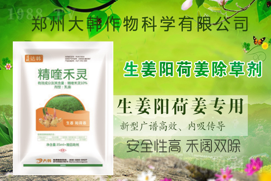 ��ꖺɽ���ô���ݣ����ش�ʲô���݄�����ꖺɽ����ݷ�����ע�����