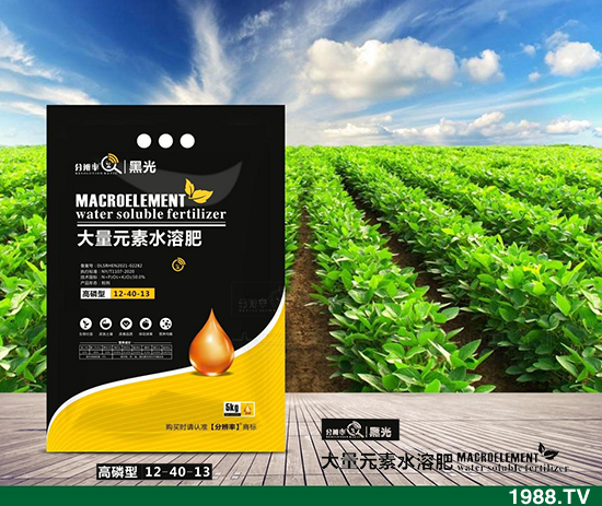 ����(w��n)�\(y��n)����2021.12.31����������@�r��