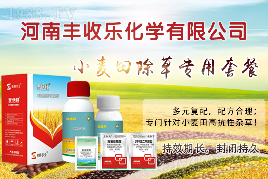 С�������ӳ��ݸ���ԓ��ô�x�ó��݄���